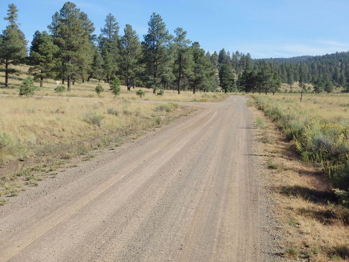 GDMBR: US Highway-60 is 23 miles north and we're going straight/north.